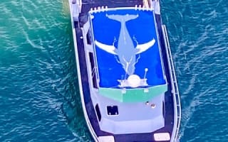 Top of Our Boat